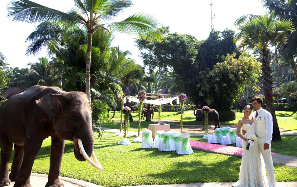 巴厘岛大象公园婚礼